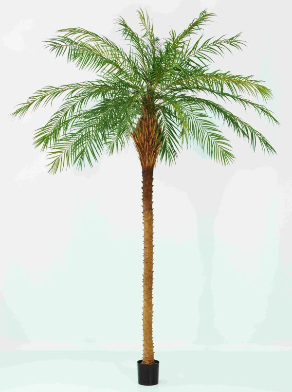 Areca Artificiale Palm Phoenix Roebelenii 280-370 cm