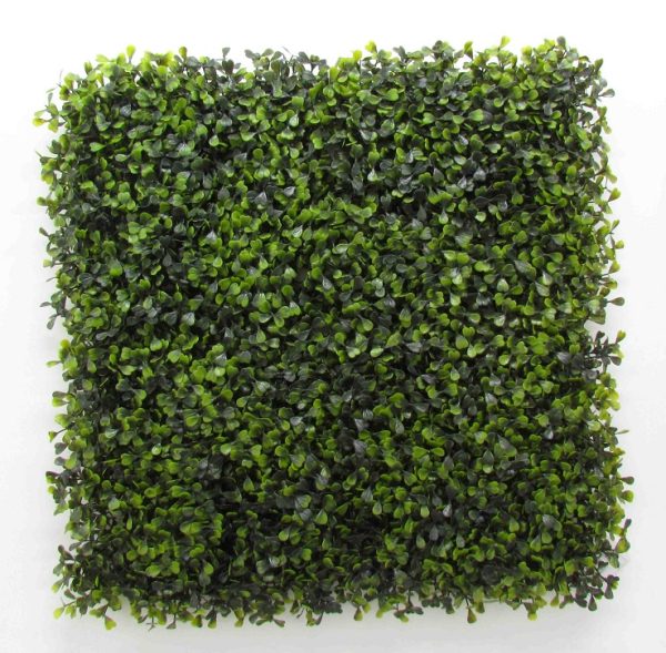 Boxwood • Siepe Artificiale • Mix Verdi • cm 50×50 • UVR • Mattonelle