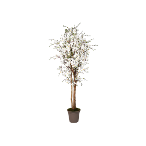 Pesco artificiale fiori bianchi in diverse altezze