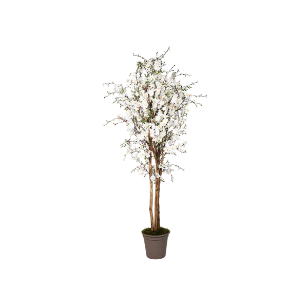 Pesco artificiale fiori bianchi in diverse altezze