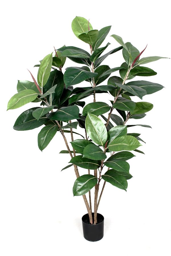 Ficus Elastica Artificiale • Verde • Tronco Real Touch • H. 120 cm