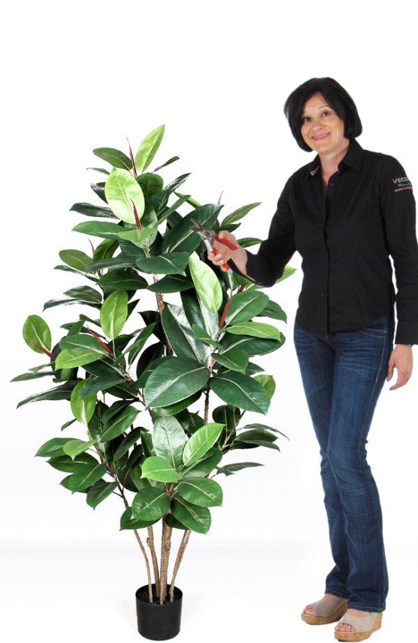 Ficus Elastica Artificiale • Verde • Tronco Real Touch • H. 150 cm - immagine 2
