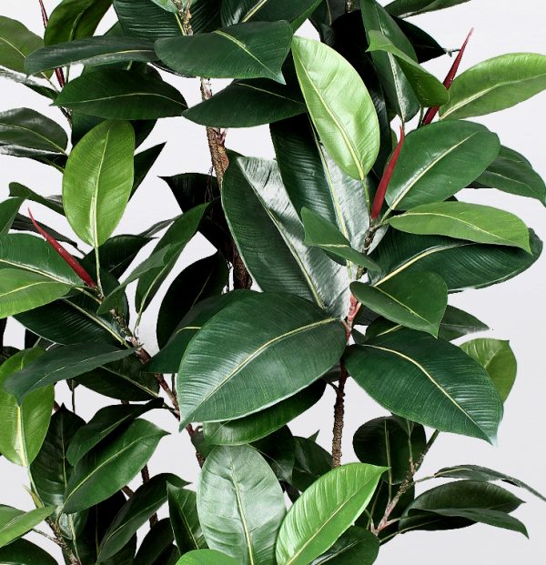 Ficus Elastica Artificiale • Verde • Tronco Real Touch • H. 150 cm - immagine 3