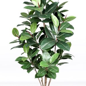 Artificial Ficus Elastica • Green • Trunk Real Touch • H. 150 cm