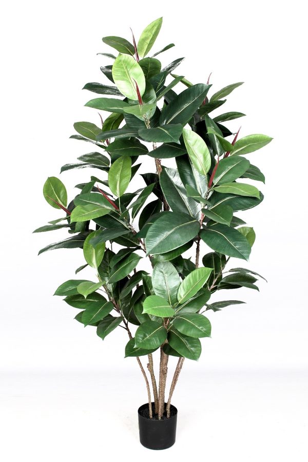 Ficus Elastica Artificiale • Verde • Tronco Real Touch • H. 150 cm