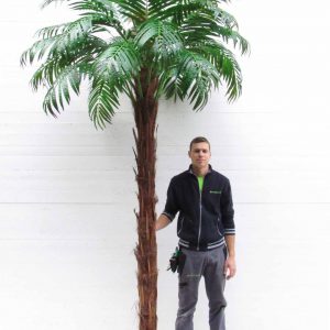 Areca Artificiale Palm - Tronco Naturale in fibra di Cocco - h. 300 cm senza vaso