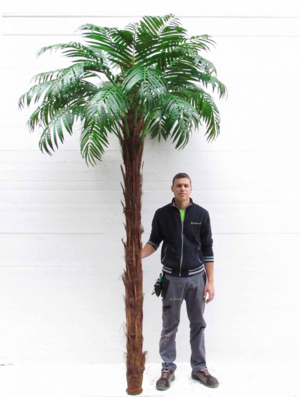 Areca Artificiale Palm - Tronco Naturale in fibra di Cocco - h. 300 cm senza vaso