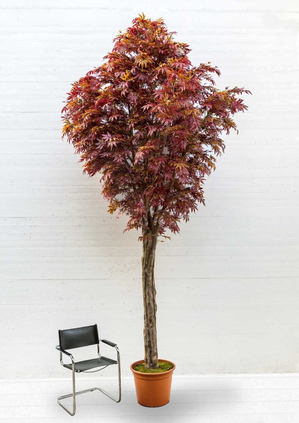 Acero Artificiale Rosso Tronco Build-up - h.400 cm.
