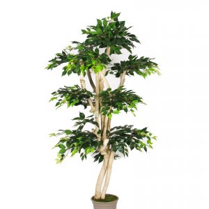 Ficus Artificiale Elegance Verde - Tronco Japan - In varie altezze - Disponibile anche Variegato