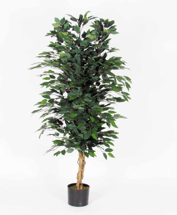 Ficus Artificiale Low Cost Verde da cm. 125 a cm. 200 UVR
