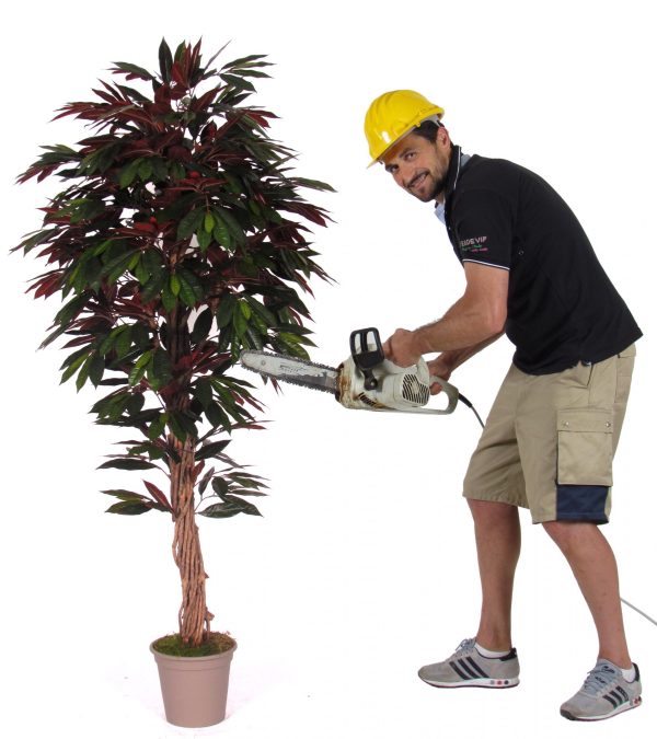 Capensia Artificiale Liana In Varie Altezze da cm. 150 a cm 200
