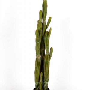 Cactus Artificiale Saguaro cm. 152