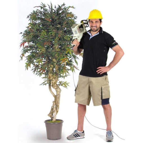 Acero Artificiale Verde Tronco Mediterraneo - In Varie Altezze -