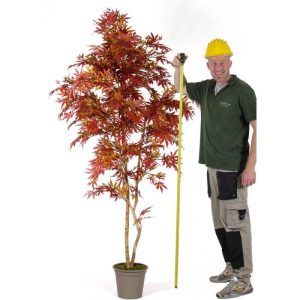 Acero Artificiale Rosso New Garden da cm. 150 a cm. 210