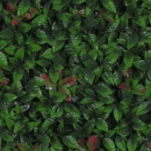 Siepe Artificiale PHOTINIA