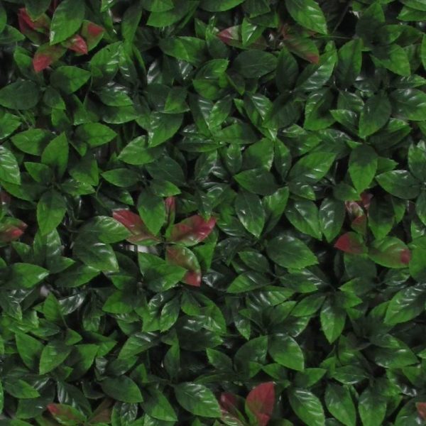 Siepe Artificiale PHOTINIA