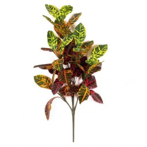 Croton Artificiale