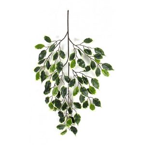 Ramo Ficus Artificiale Benjamin variegato, ramo con 65 foglie mini.