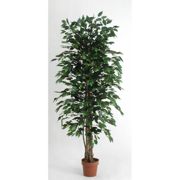 Ficus Artificiale Low Cost Verde disponibile da cm. 125 a cm. 200