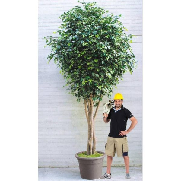 Ficus Artificiale Elegance Giant da Metri 3,50 a Metri 5 - Venduta solo Telefonicamente