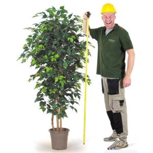 Ficus Artificiale Elegance Verde - In varie Altezze da cm. 100 a cm. 300