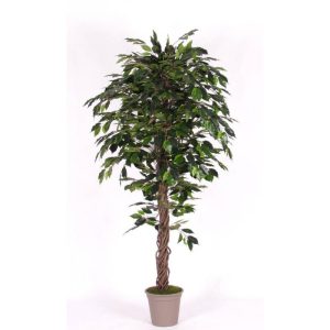 Ficus Artificiale Luxe Verde - Tronco Liana - In varie altezze