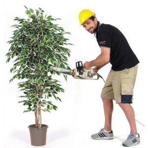 Ficus Artificiale Luxe Variegato - da cm 125 a cm 300