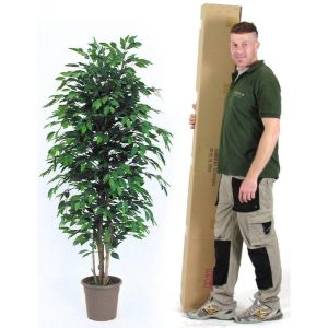 Ficus Artificiale Normal Verde - da cm 100 a cm 300