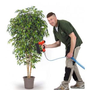 Ficus Artificiale Verde con foglie mini - In altezze da cm. 100 a cm. 250