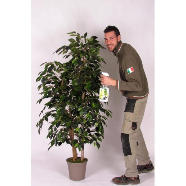 Ficus Artificiale Luxe Small verde, tronco Bosco, in varie altezze