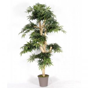 Acero Seminaturale • Verde • Tronco Small Japan • H. 150 cm