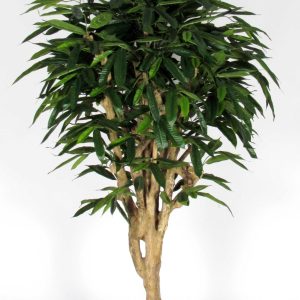 ficus longifolia artificiale tronco naturale mediterraneo