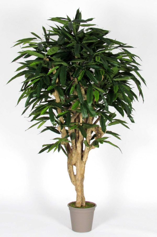 ficus longifolia artificiale tronco naturale mediterraneo