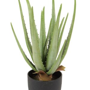 Aloe verde artificiale da 38 cm
