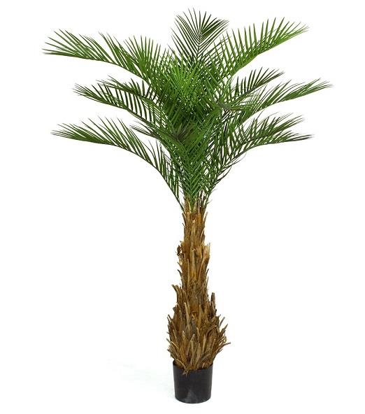 palma artificiale 180 cm