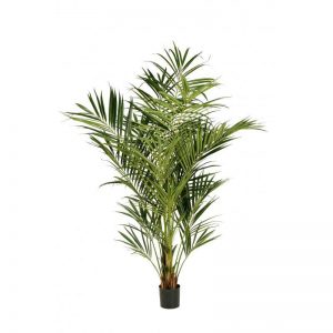 kentia artificiale