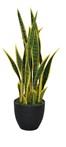 Artificial Sanseveria • Variegated • Small • UVR • H. 65 cm