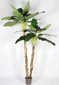 Banano Artificiale con 2 Piante da cm. 230/270 Tronco Naturale