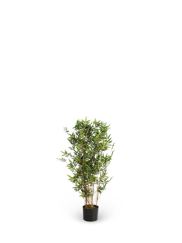 Semi-Natural Oriental Bamboo • Green • Natural Canes • H. 100 cm