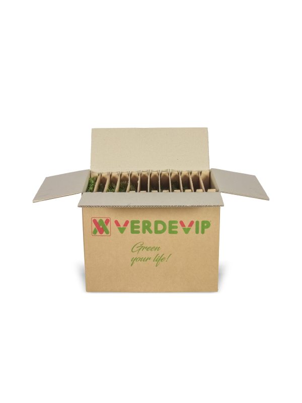 KIT COMPLETO DI CAMPIONI ERBA SINTETICA - immagine 3