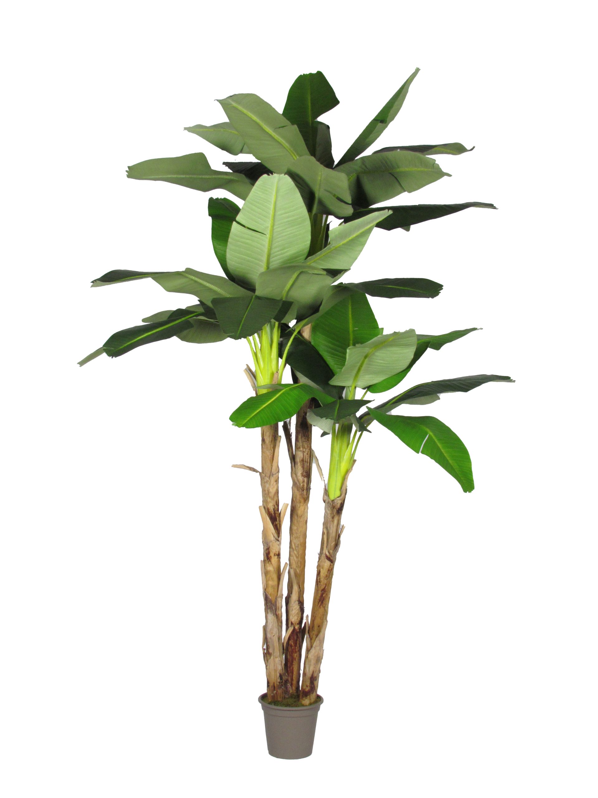 Banano artificiale con 3 piante Tronco naturale - Verdevip