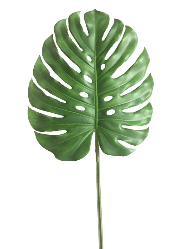 Monstera • Foglia Artificiale • Verde • H cm 116
