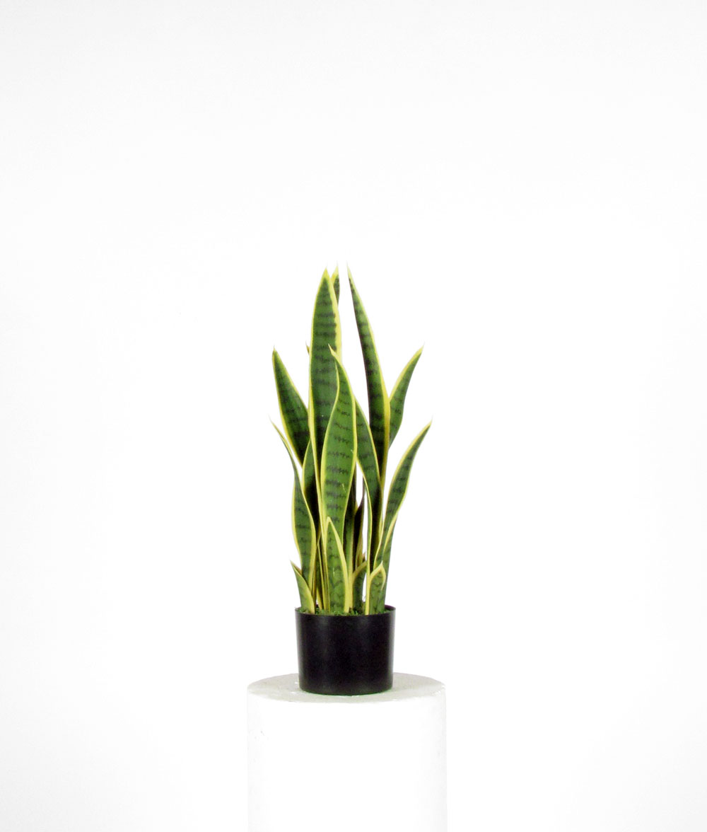 Sanseveria Artificiale Small Variegata H. 65 Cm. UVR - Verdevip