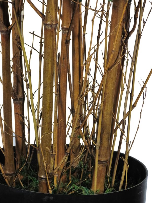 Semi-Natural Oriental Bamboo • Green • Natural Canes • H. 100 cm - Image 2