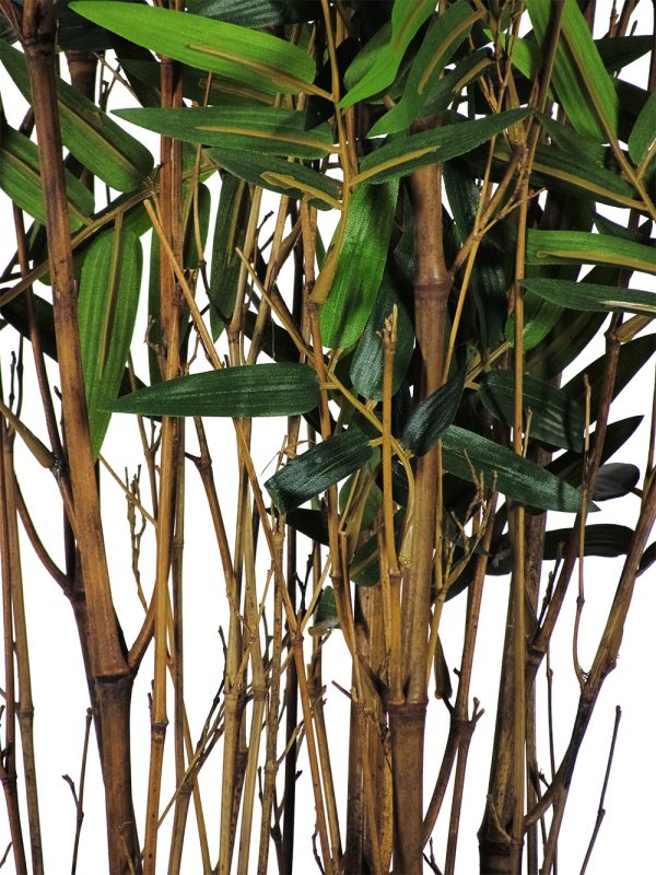 Semi-Natural Oriental Bamboo • Green • Natural Canes • H. 100 cm - Image 3