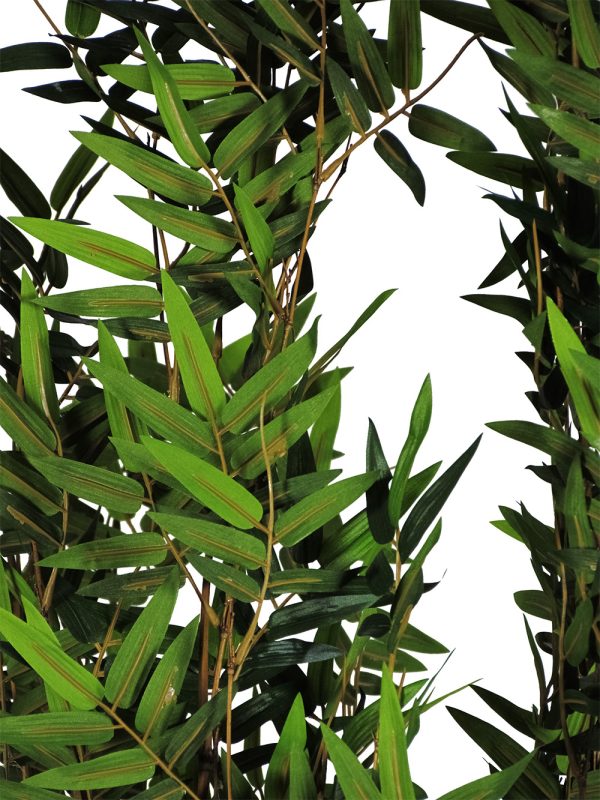 Semi-Natural Oriental Bamboo • Green • Natural Canes • H. 100 cm - Image 4