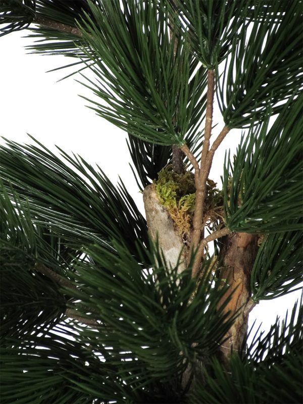 Pine Seminatural • Green • Mansanisi trunk • UVR • H cm 225 - Image 2