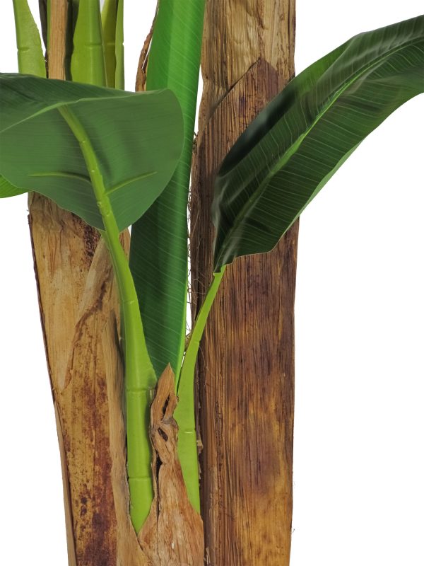 Banano Seminaturale • Verde • Tronchi in corteccia di Banano - immagine 3