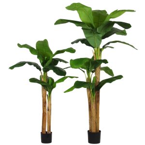 Banano Seminaturale • Verde • Tronchi in corteccia di Banano