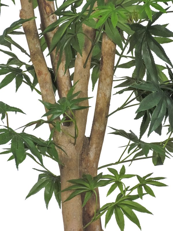 Semi-Natural Luxe Maple • Green • Mansanisi Trunk - Image 3